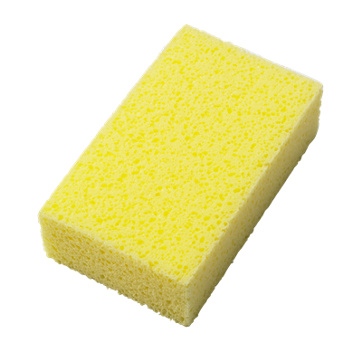 Muresvampe